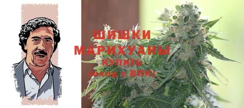 что такое наркотик  Пошехонье  Шишки марихуана THC 21% 